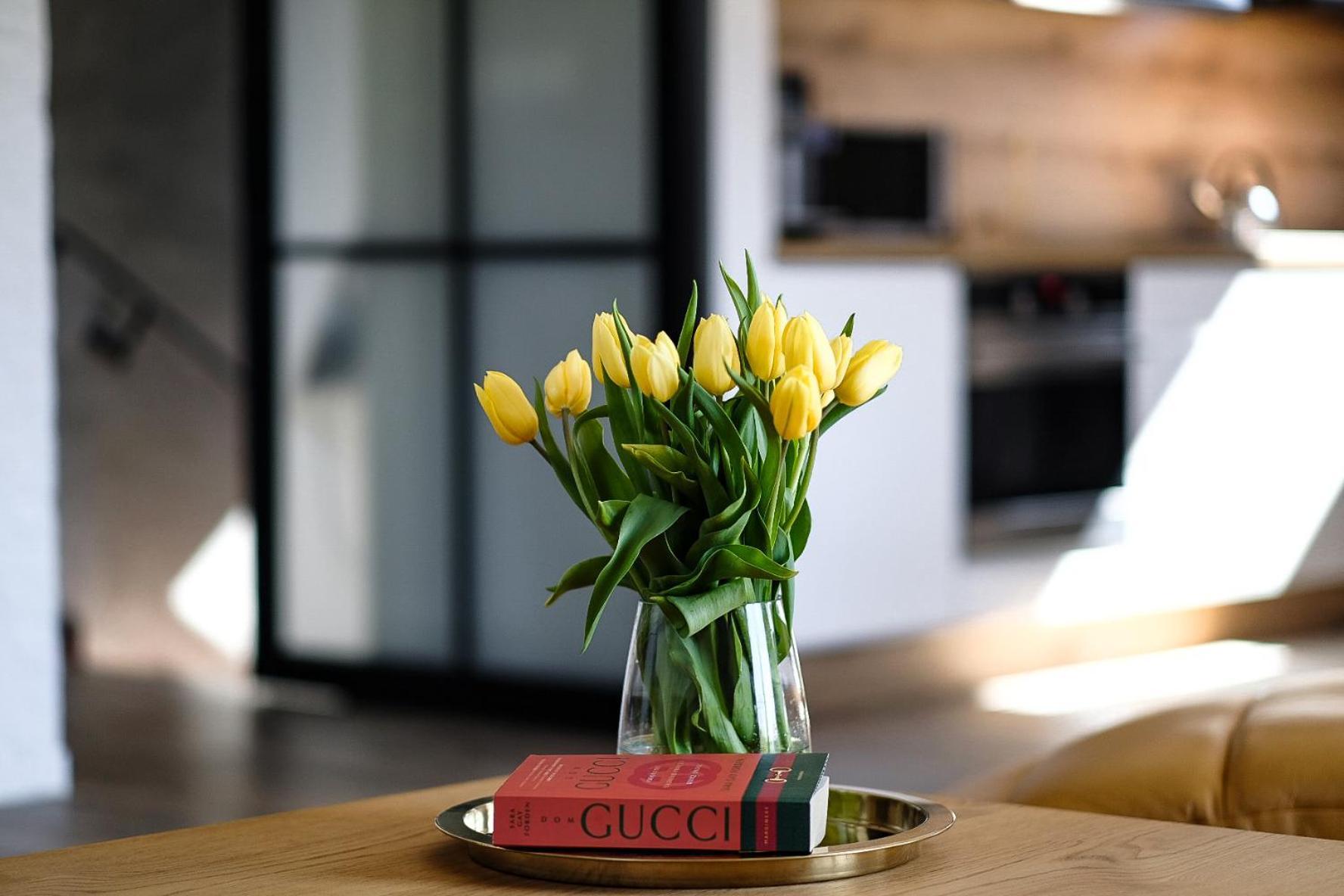 Apartment Spacerowa Lux Kudowa Zdroj